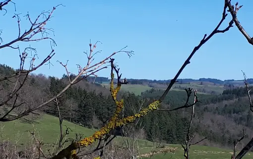 Les hameaux