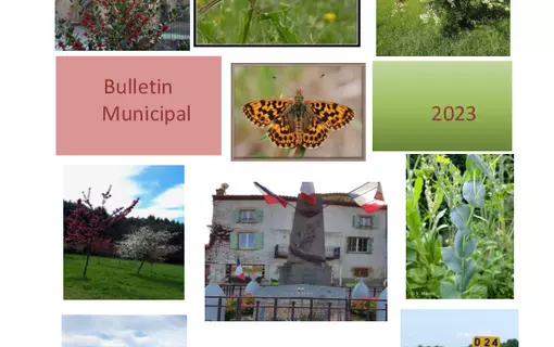 Bulltin municipal